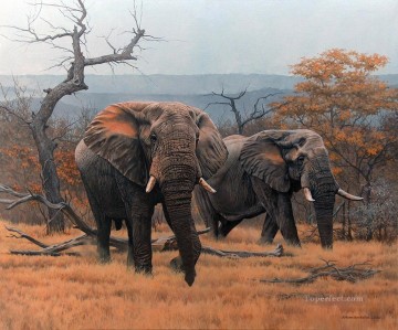 elefantes de sabana Pinturas al óleo
